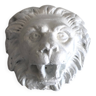 Lion head