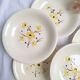 Vintage Salins deep plates