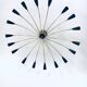 Sputnik 18-Arm Ceiling Lamp from Kaiser Leuchten, Germany, 1950s