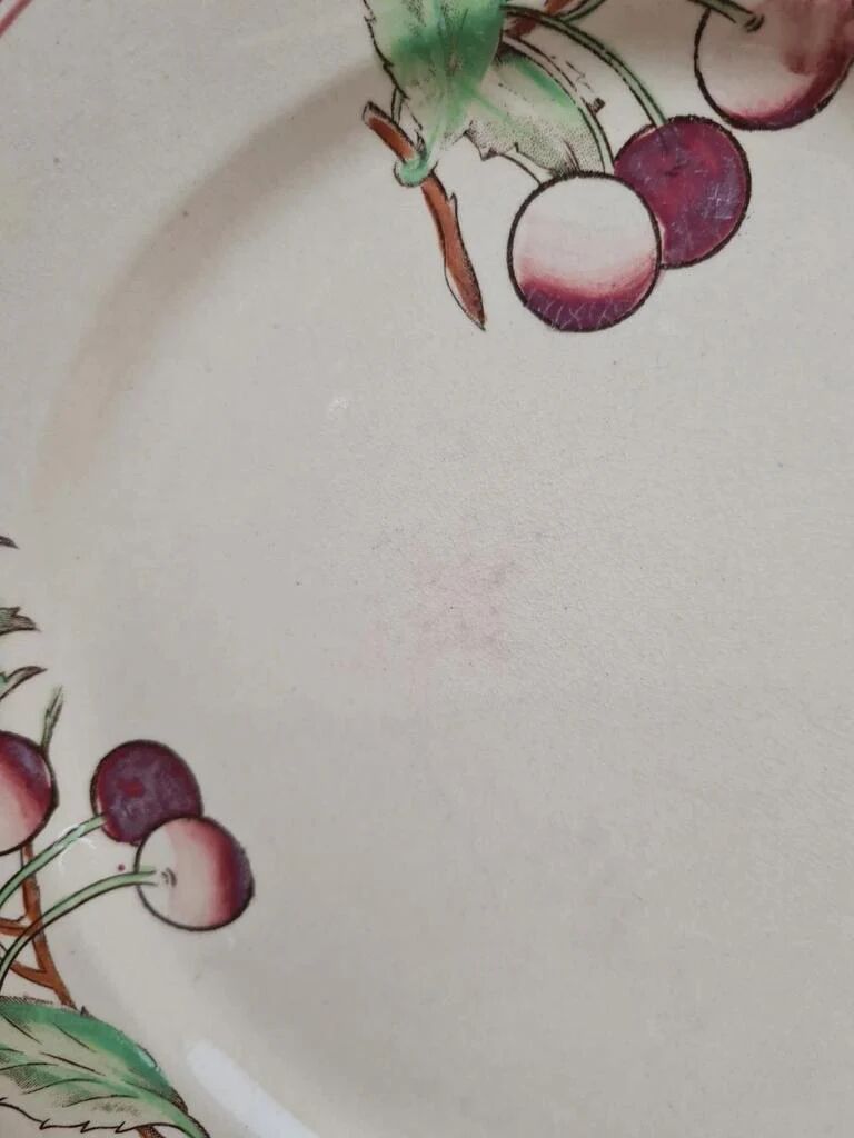 Set of 6 flat plates Boch La Louvière Belgium model 2460 with polychrome cherry decoration.