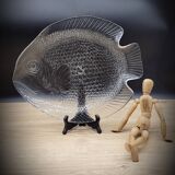 Large fish dish 40x33 transparent