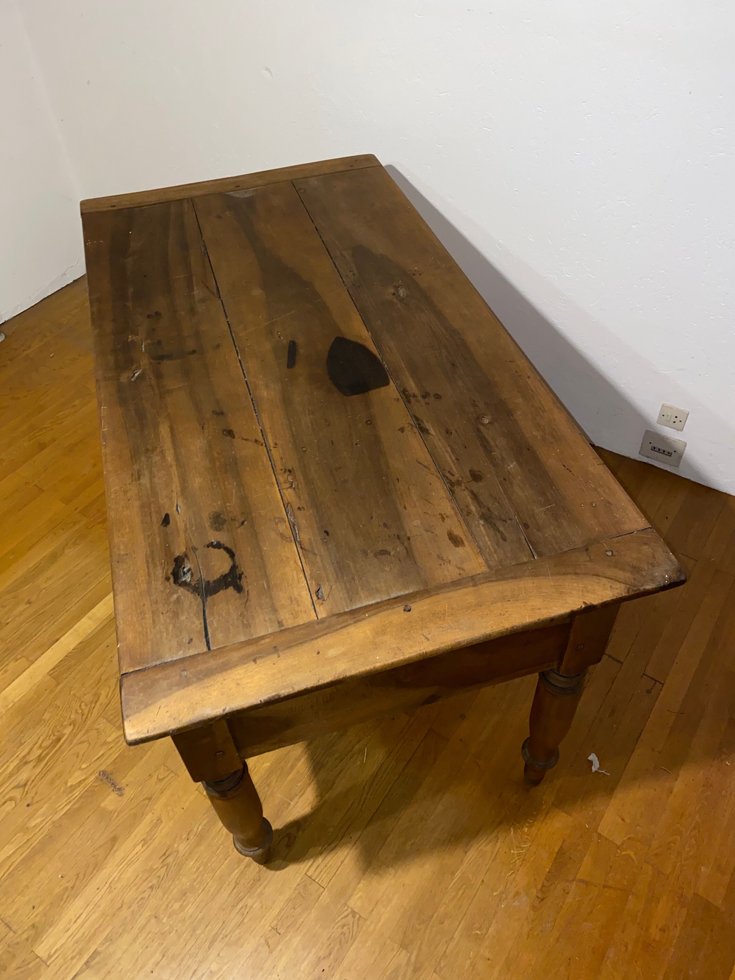 Dolphin table petri dish