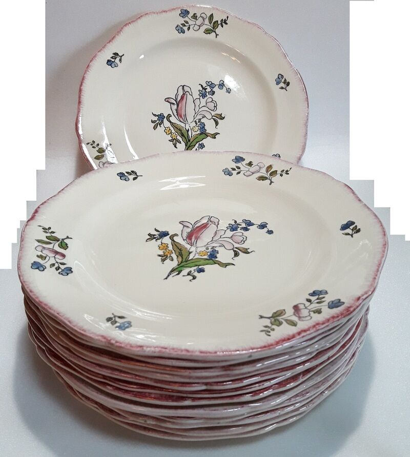 Set of 13 plates Gien earthenware 25cm