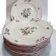 Set of 13 plates Gien earthenware 25cm