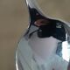 6 silver spoons monogram C B