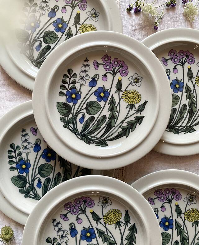 Flora flat plate service design Esteri Tomula