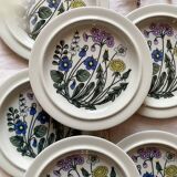 Flora flat plate service design Esteri Tomula