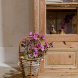 Vintage wooden workshop display case “Catherine”