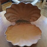 Raw cut scallop shell