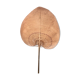 Wicker palm