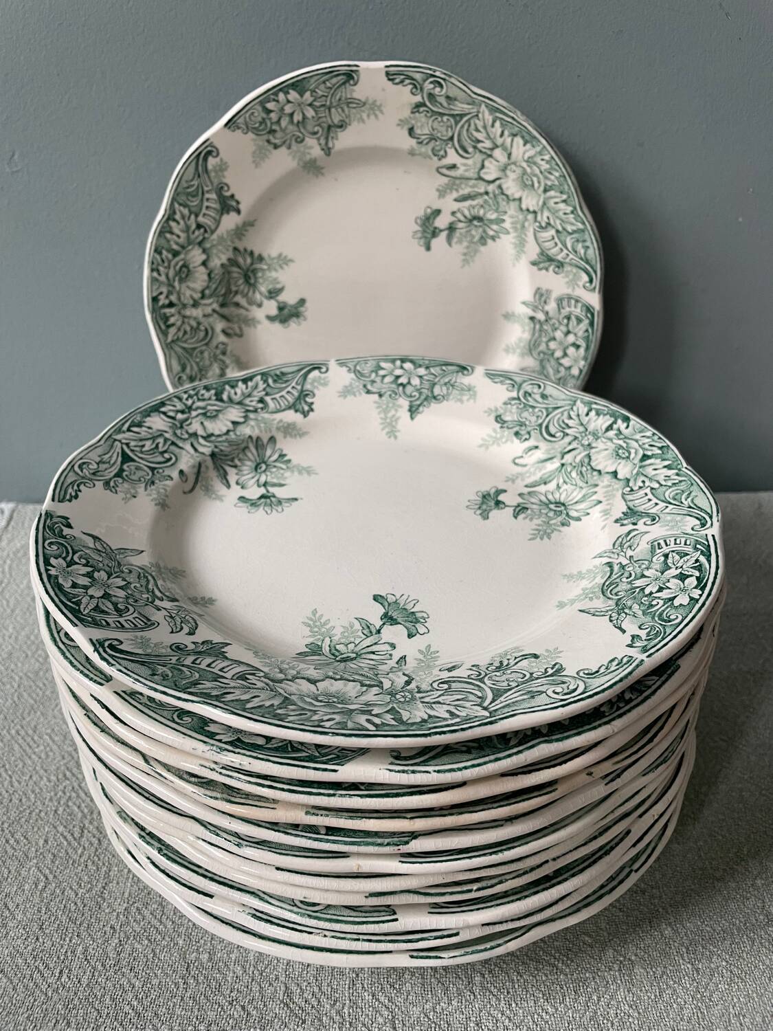 Series of 12 Terre de Fer flat plates in Onnaing earthenware, Sylvia model