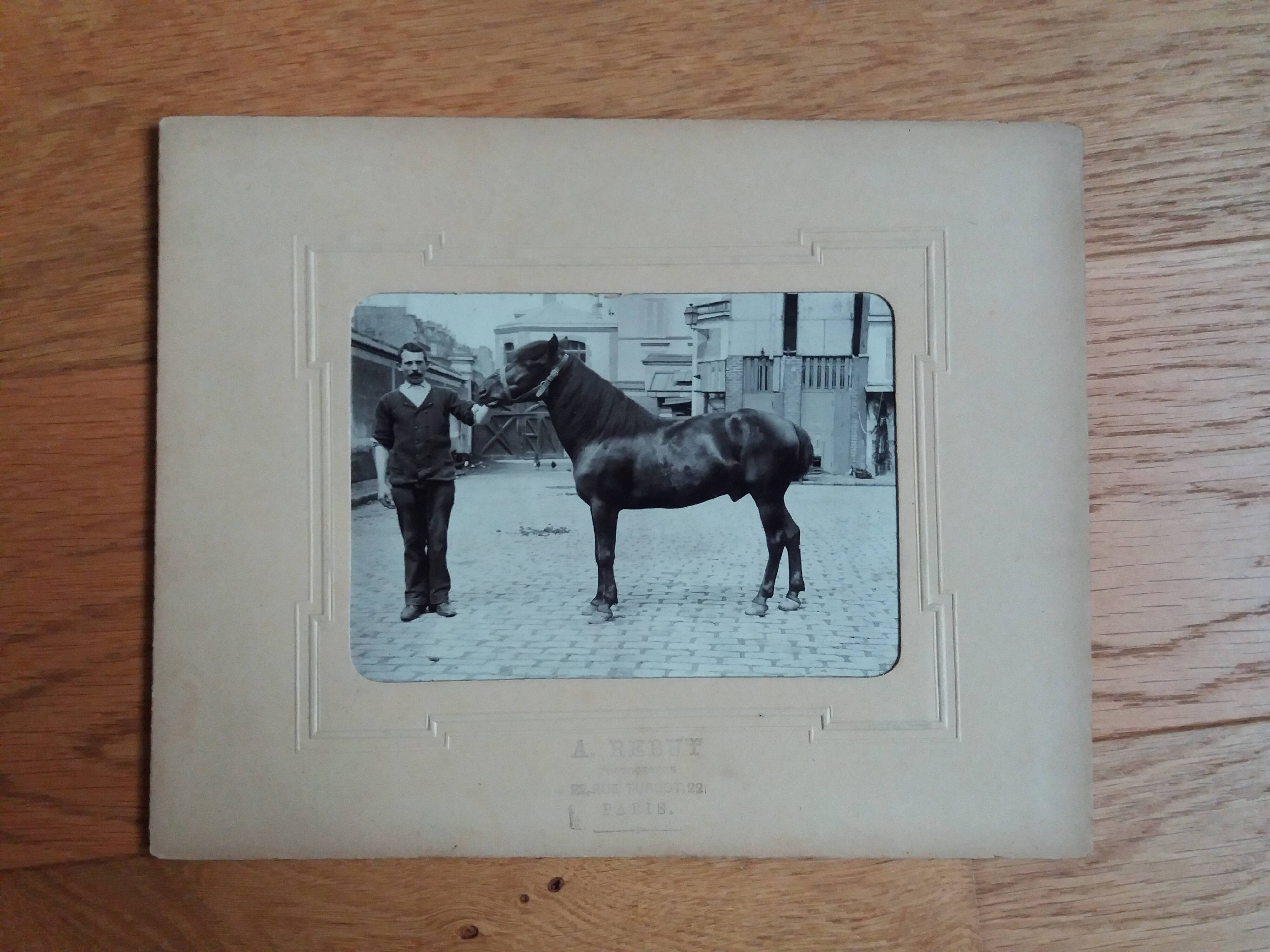 Photograph 1900 man and horse A. Rebut rue Turgot in Paris