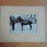 Photograph 1900 man and horse A. Rebut rue Turgot in Paris