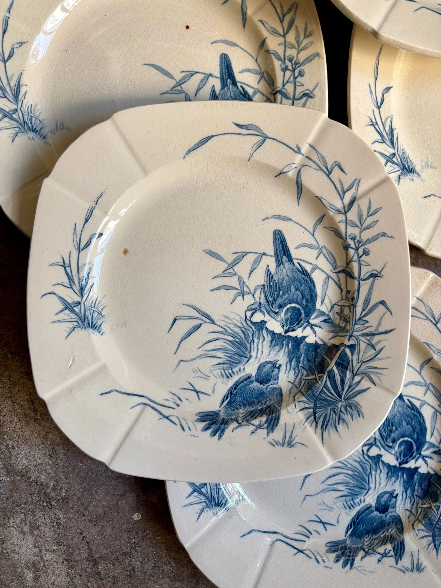 6 dessert plates Gien in blue ironstone, "Birds" service circa 1870 no. 2