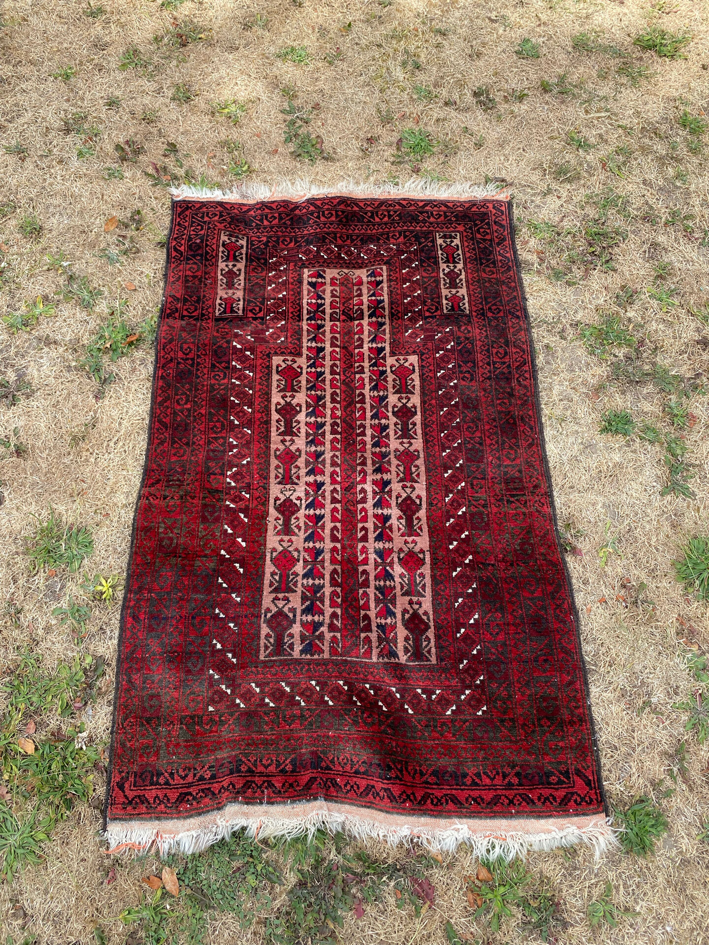 Afghan carpet