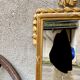 Louis XVI style mirror in gilded wood 176x109cm