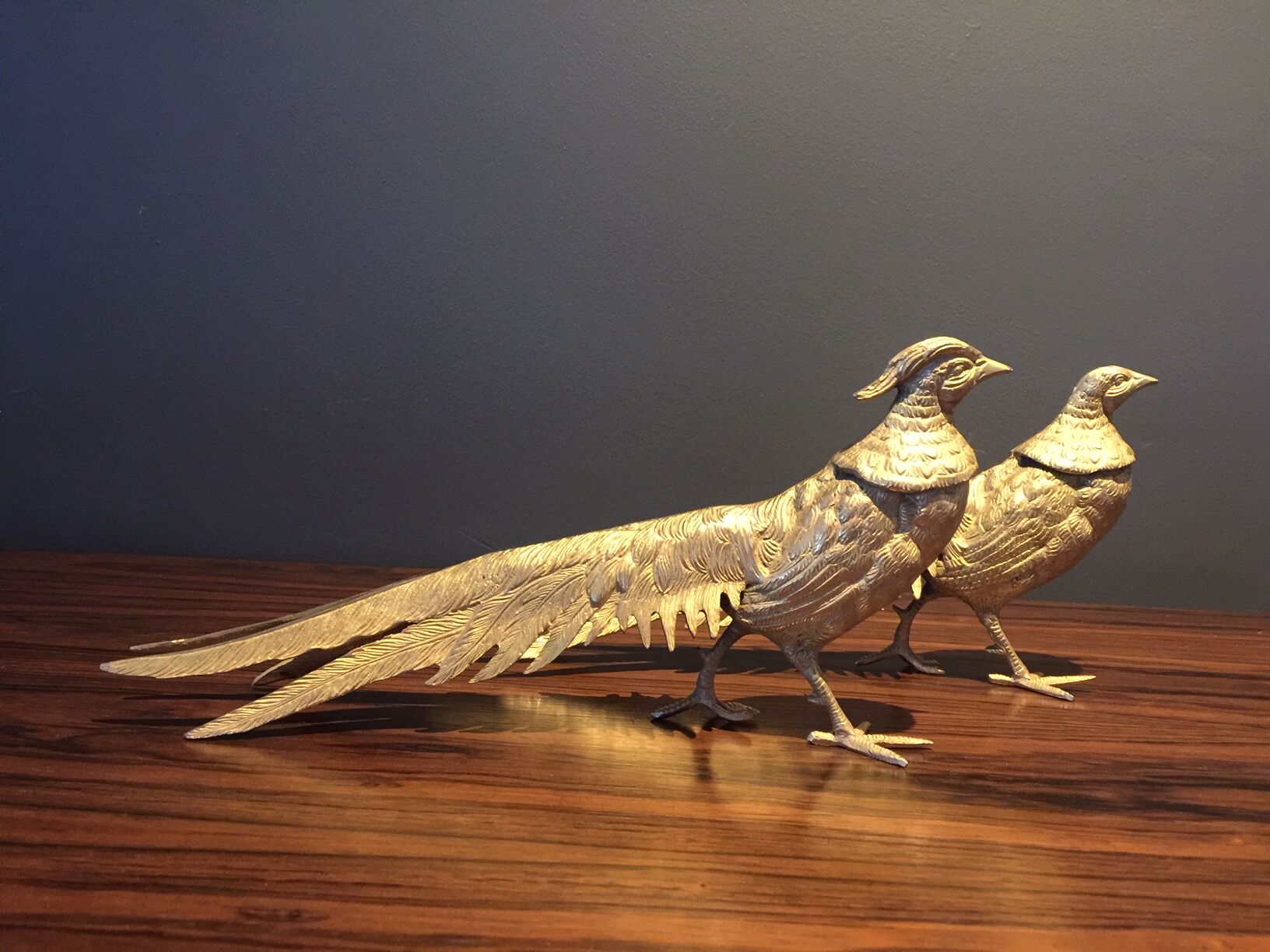 Pair of golden pheasants