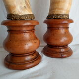 Pair of horns mounted on a pedestal