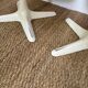 Set of 4 Arkana 115 chairs by Maurice Burke