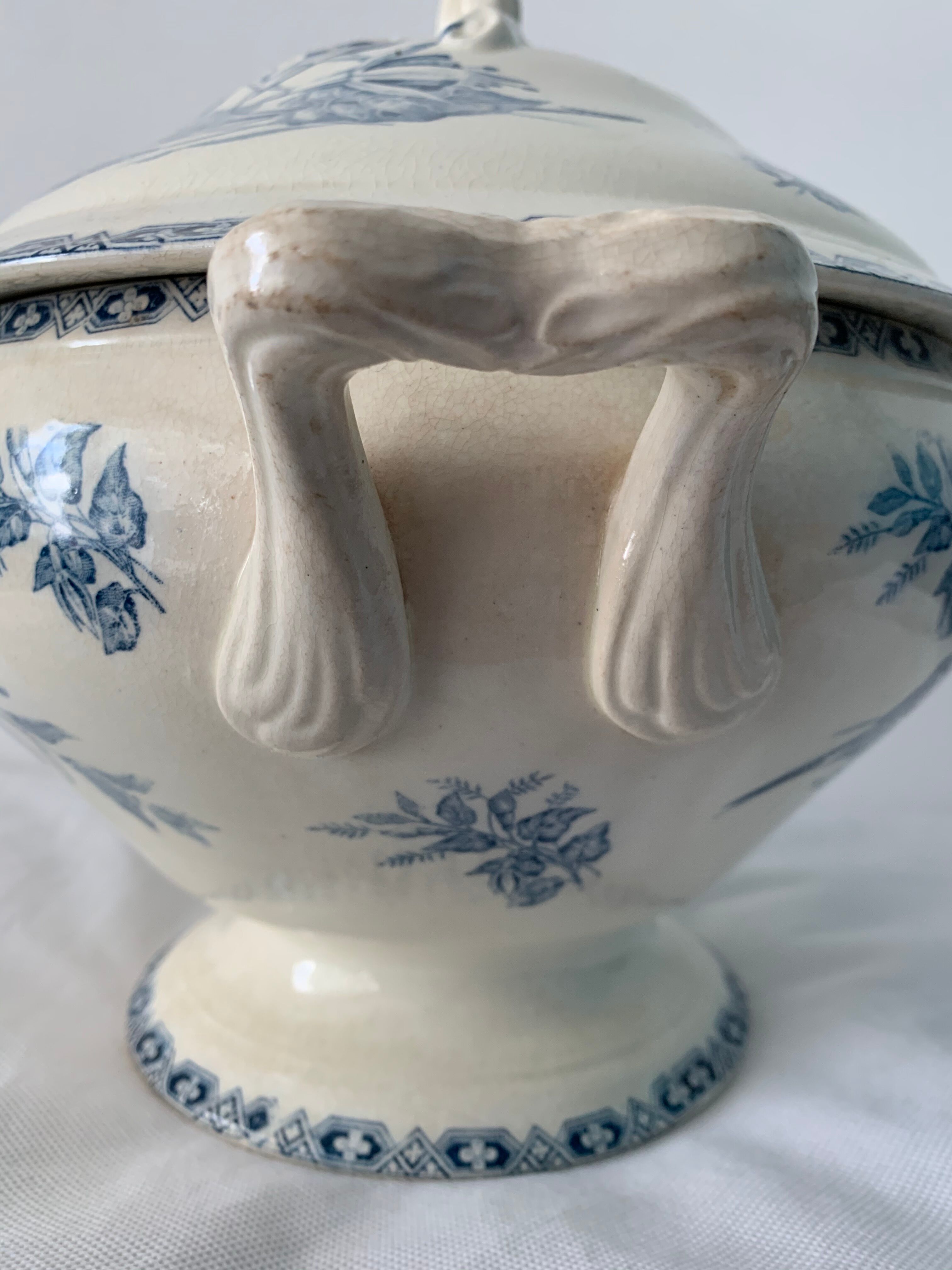 Old blue soup, Terre de Fer, martha model