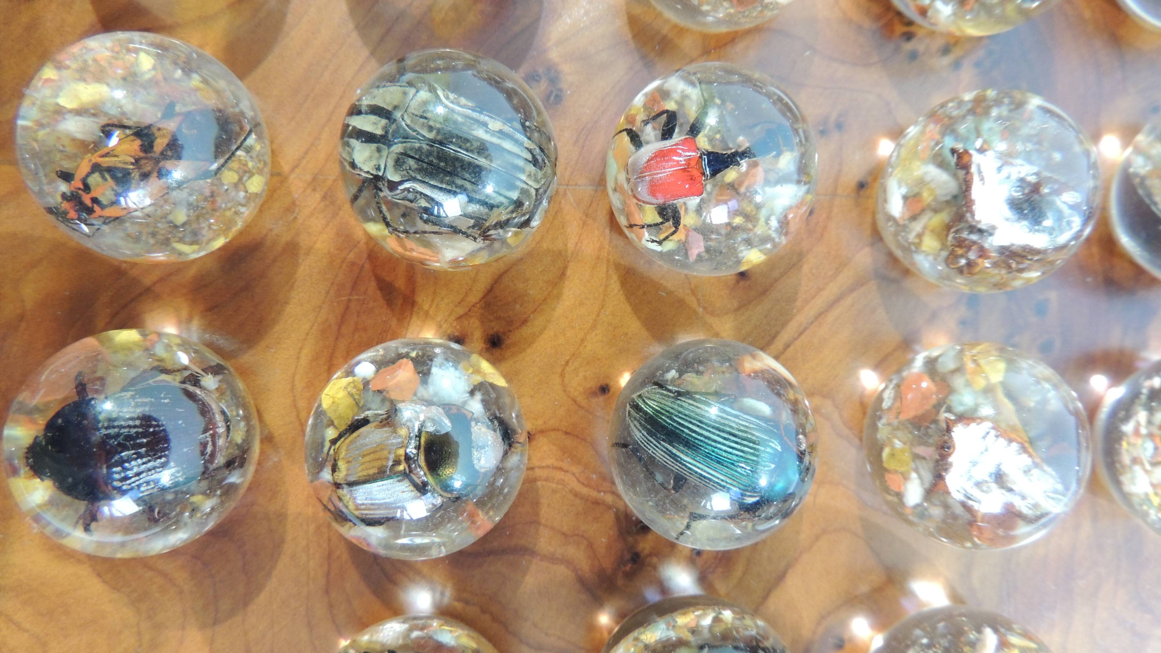 Vintage wooden solitaire game with resin balls and insects – Madaga