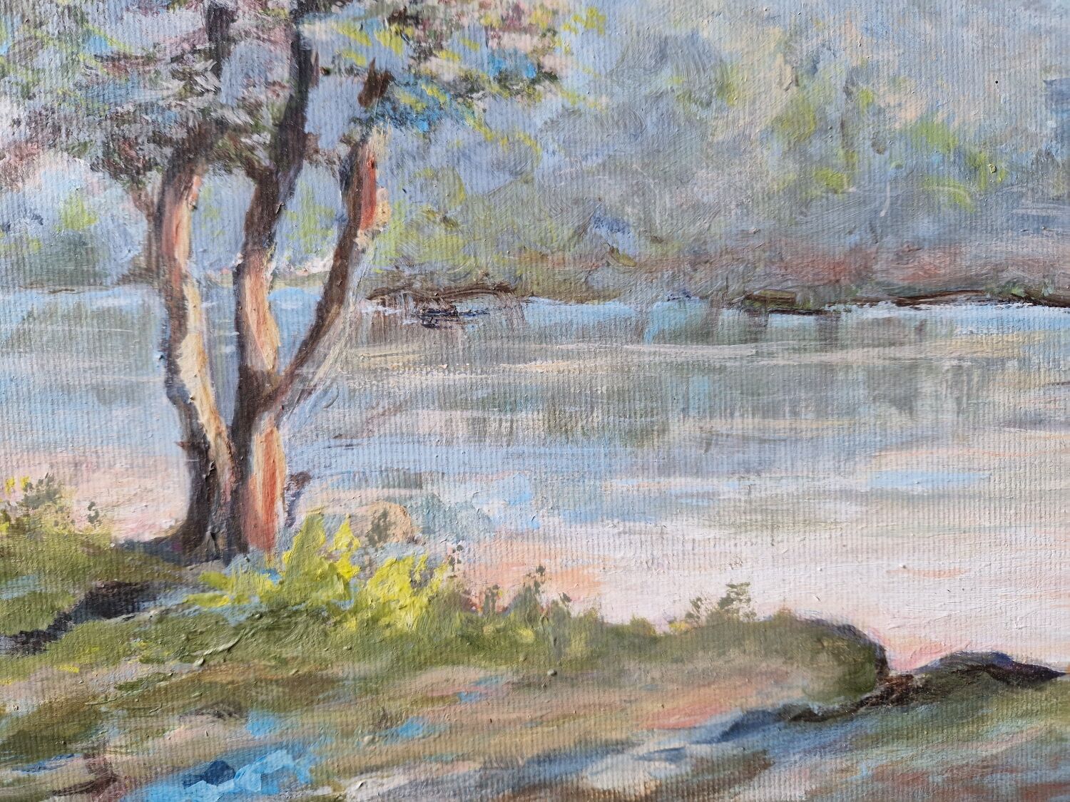 Pond near citeaux (Côte d'Or)