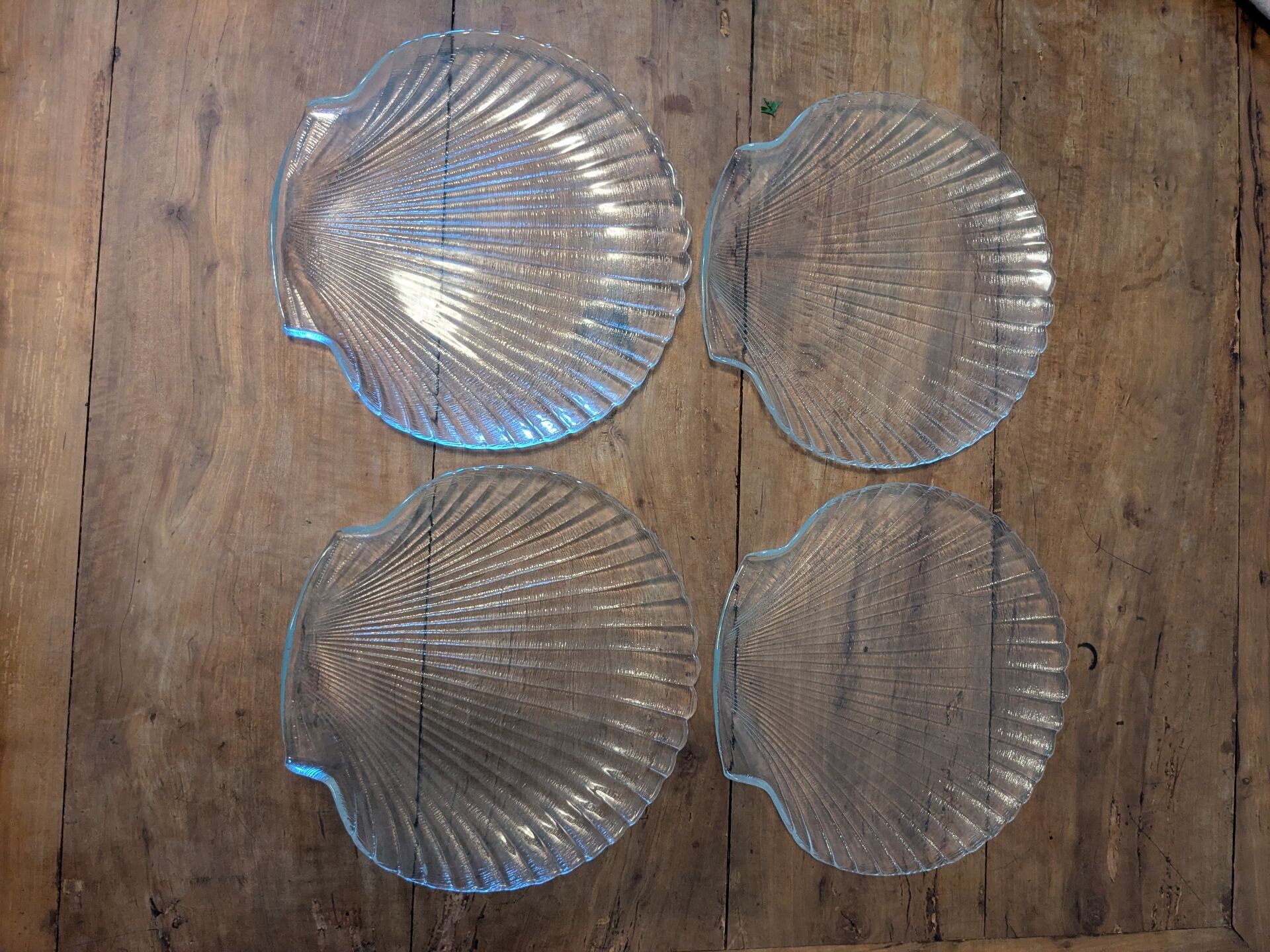 Assiettes coquilles saint jacques