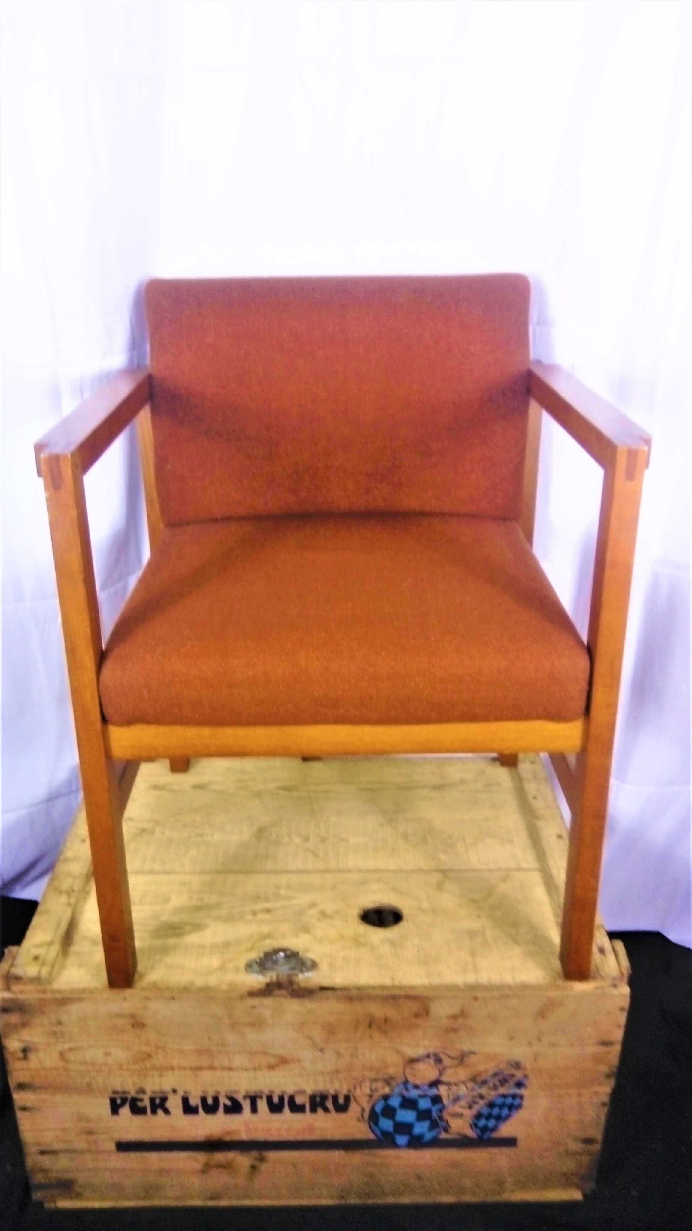 Pair of scandinavian-style armchairs