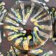 Saint Jean de Bretagne earthenware dessert plates
