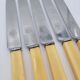 10 g.butler&co knives with galalith handles