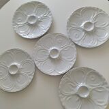Set of 5 oyster plates in Limoge porcelain
