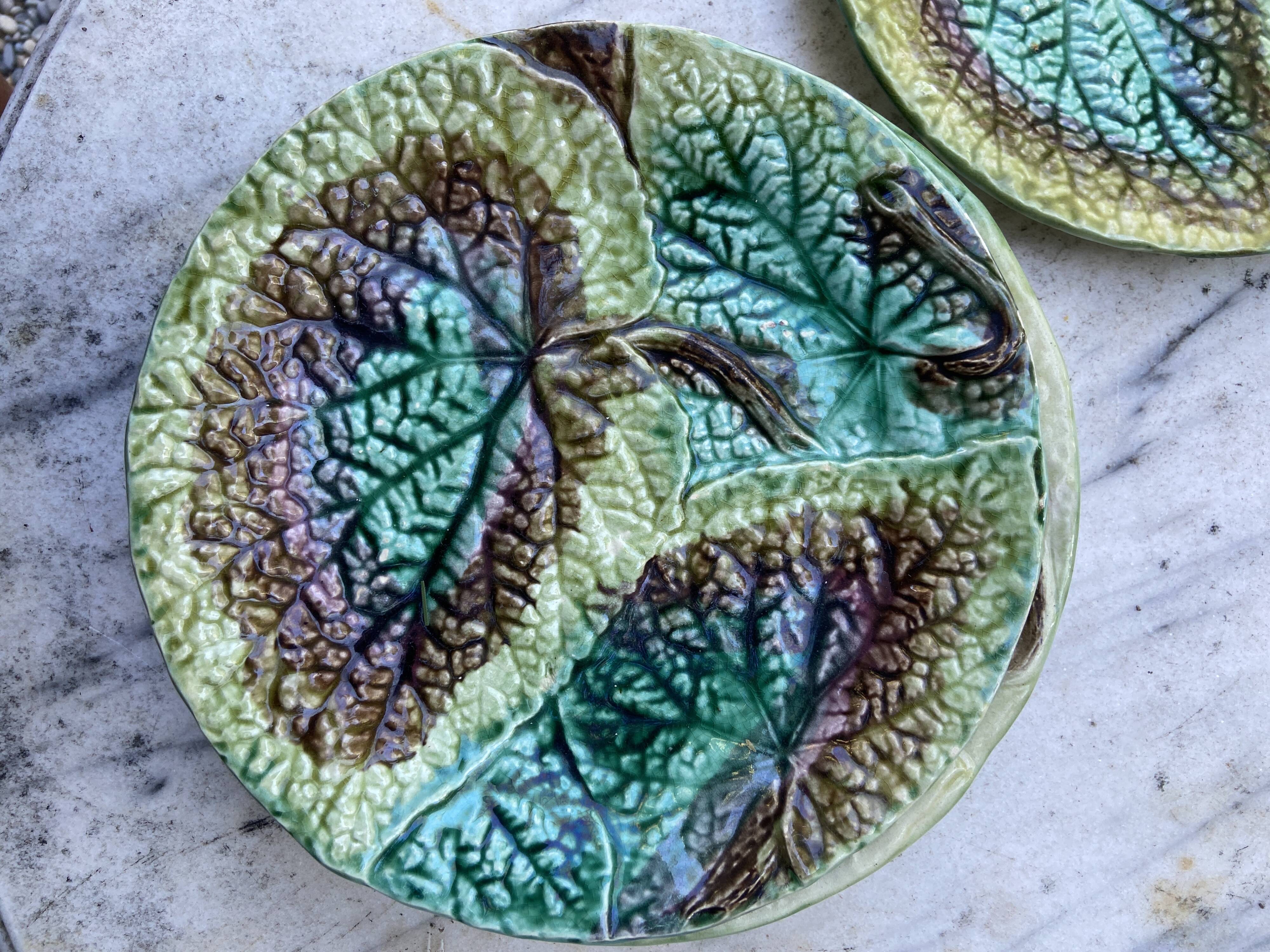 Set 8 slush plates with leaf decoration