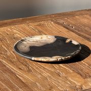 Small pocket tray or dish in black and beige petrified wood D20.5 -3317