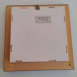 Butterfly under glass