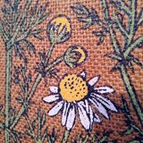 Oil on flaxseed canvas on chamomile wood