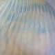6 dishes with scallops in opaline from Arcopal in very good condition