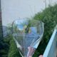 Set de 7 verres à vin gravés vintage 1950