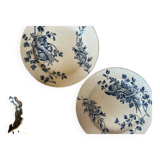 Two antique ironstone plates