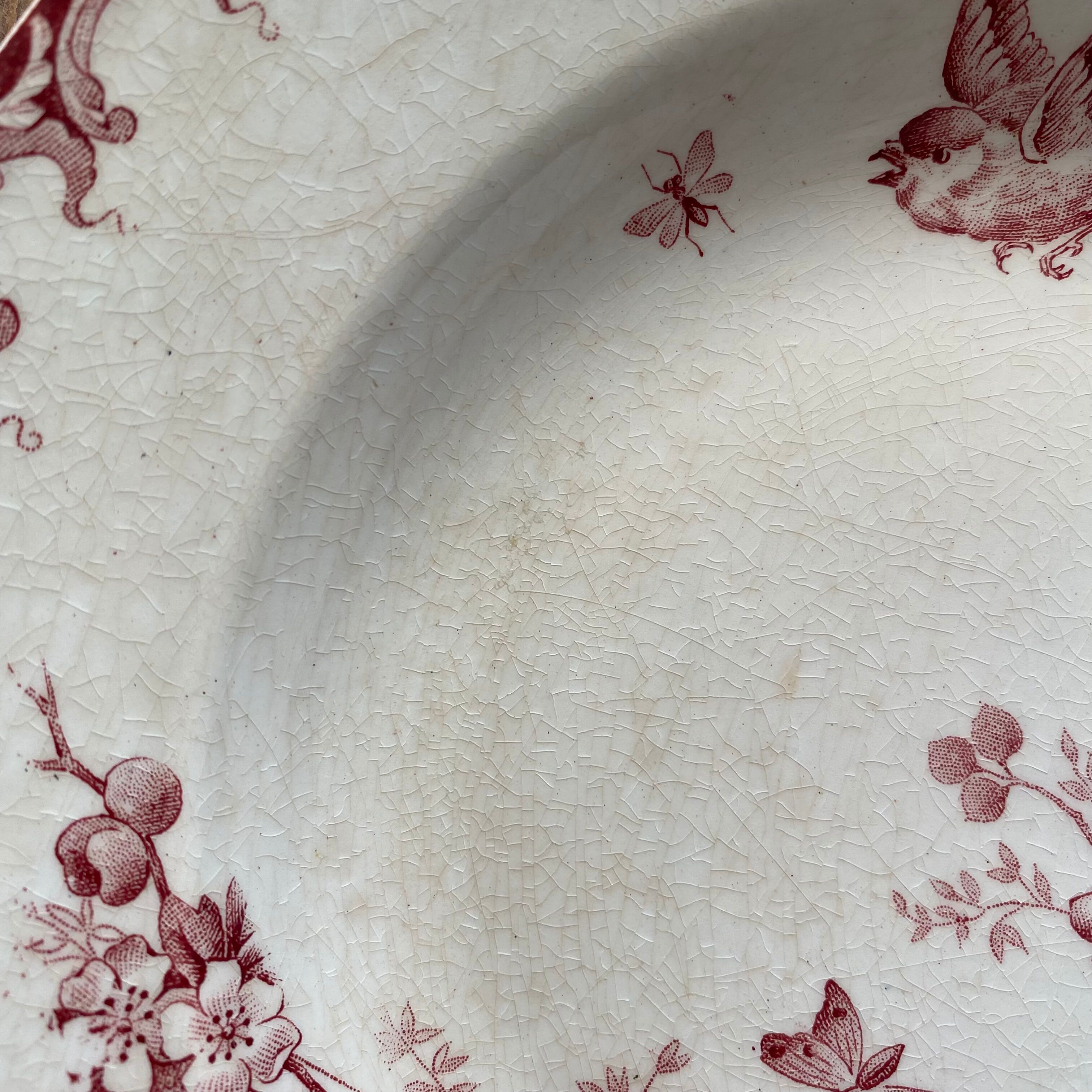Plate Hawthorn Terre de Fer