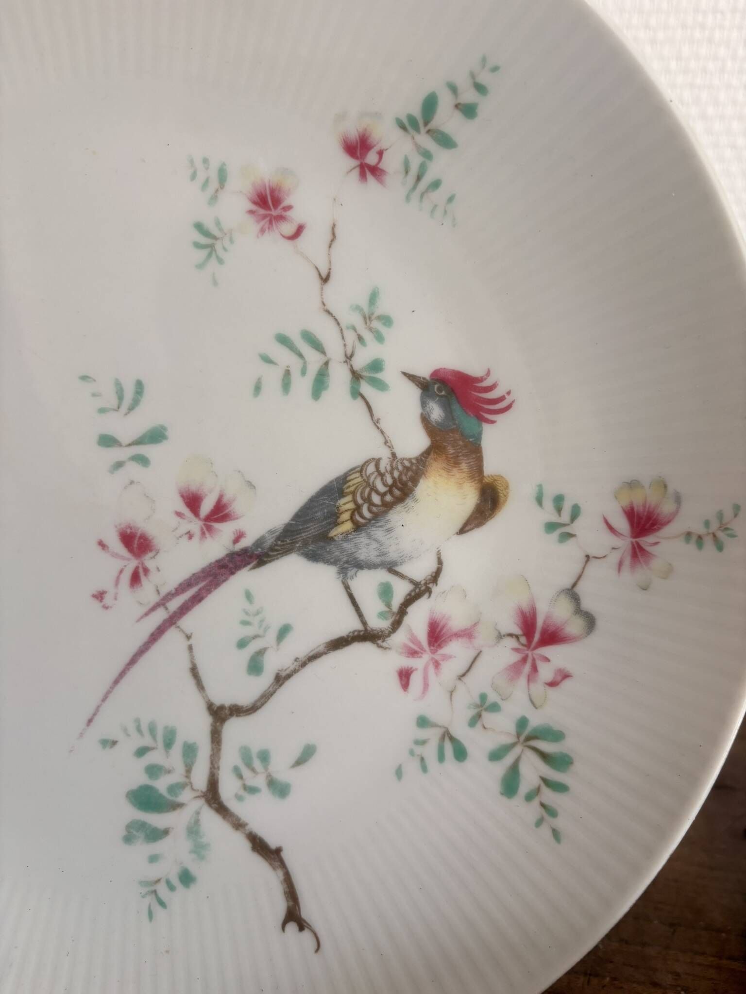 Lot of 6 Flat Plates Seltmann Weiden Bavaria Porcelain Pheasant Birds