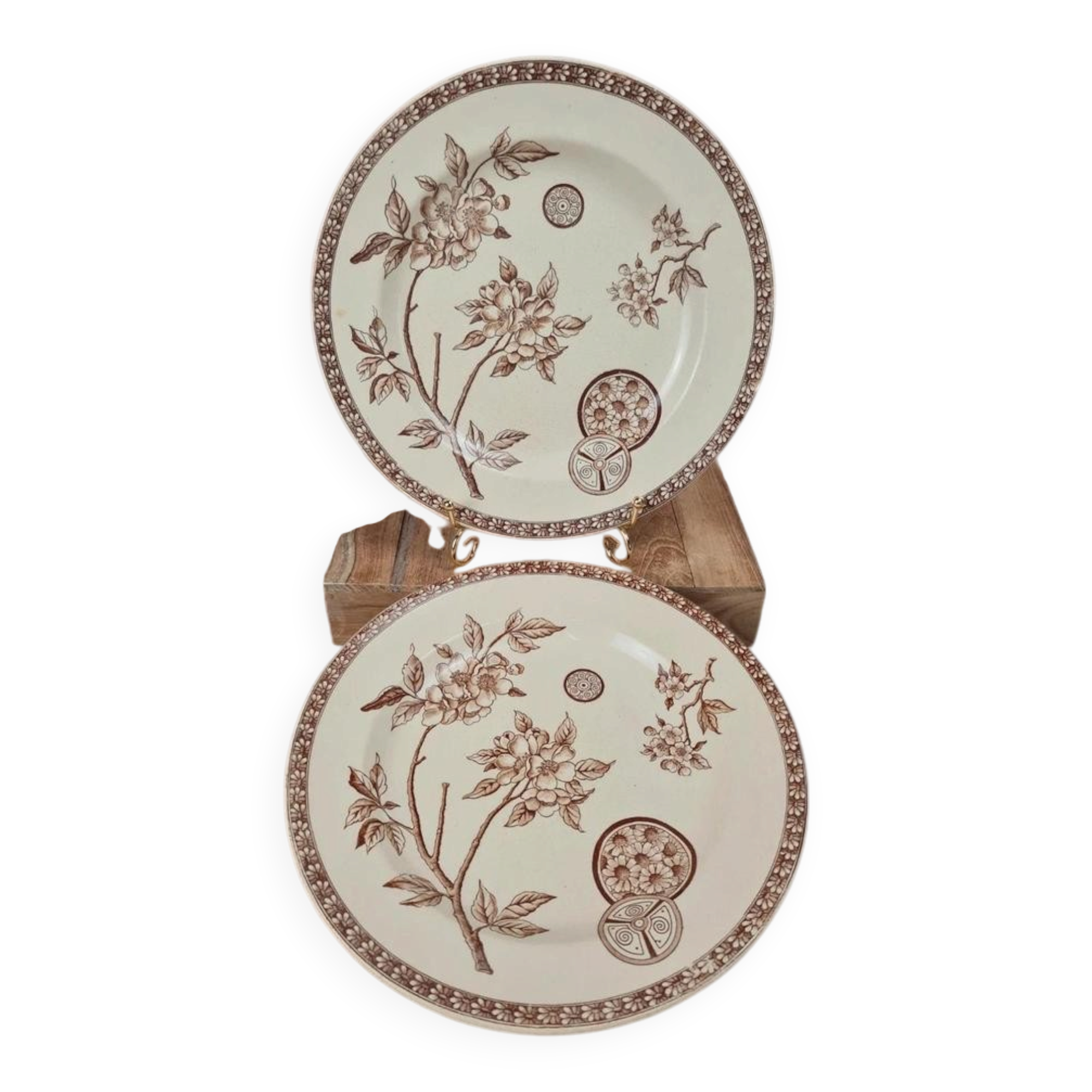 Set of 2 antique ironstone plates, "Daisy" pattern, Grand Dépôt Paris.
