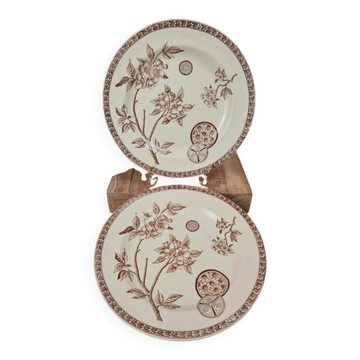 Set of 2 antique ironstone plates, "Daisy" pattern, Grand Dépôt Paris.