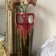 Vase haut art nouveau forme amphore