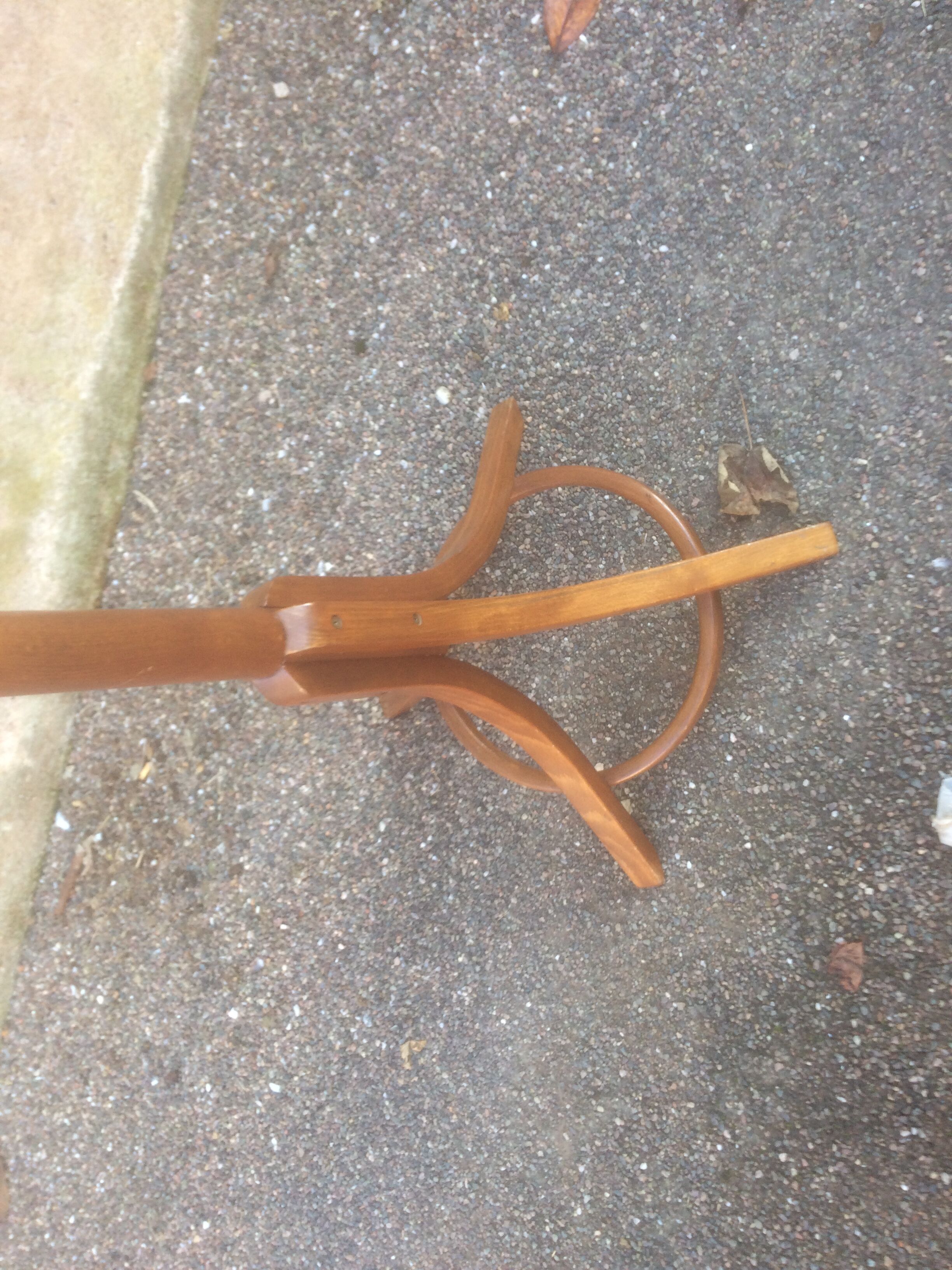 Coatrack Parrot Baumann