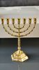 Menorah/Jewish/Hebrew candlestick with 7 arms of light. Engraved with the symbols of the 12 tribes of Israel/Holyland inscription. In gold metal. Size 20 x 16 cm