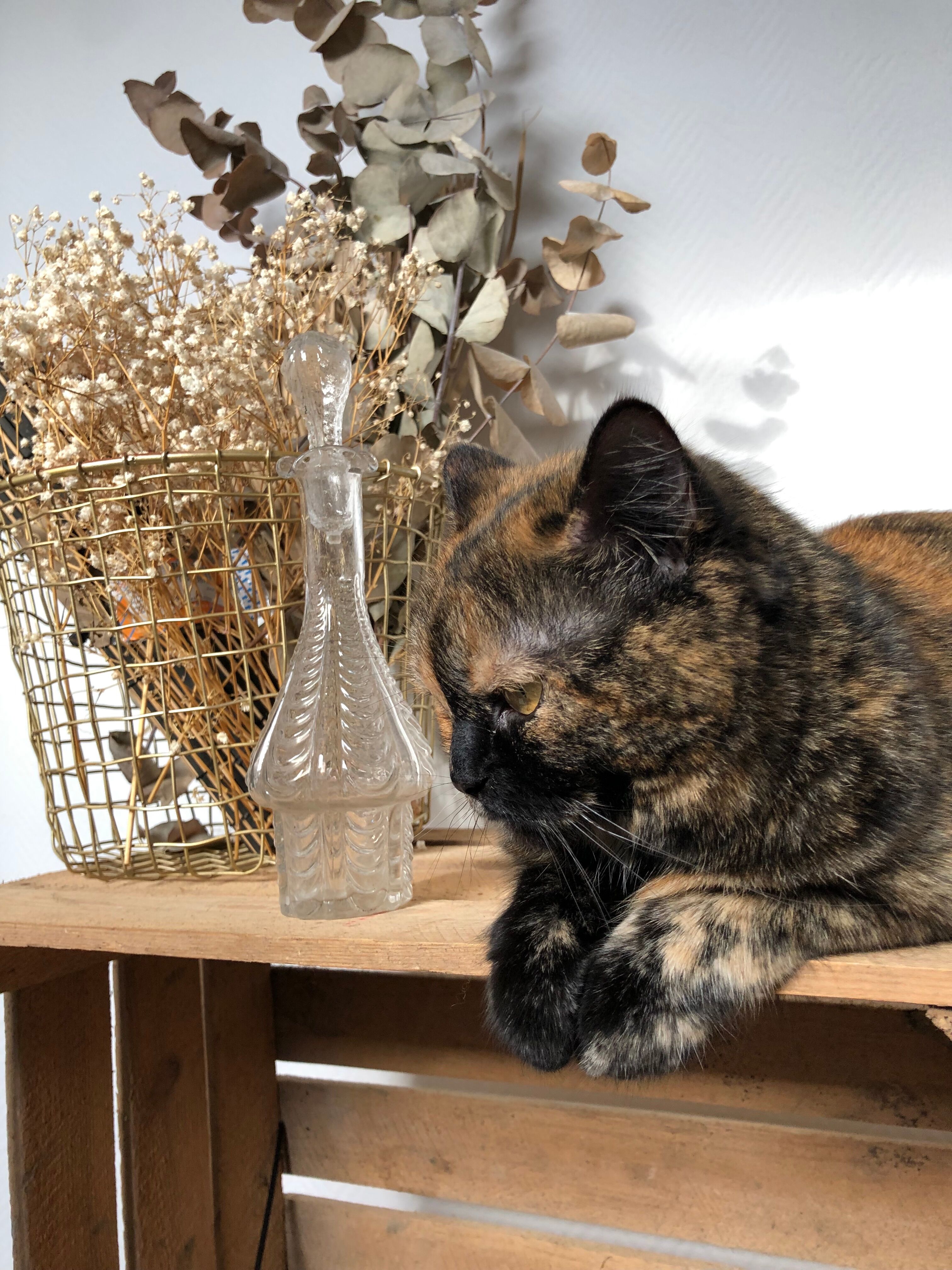 Glass carafe