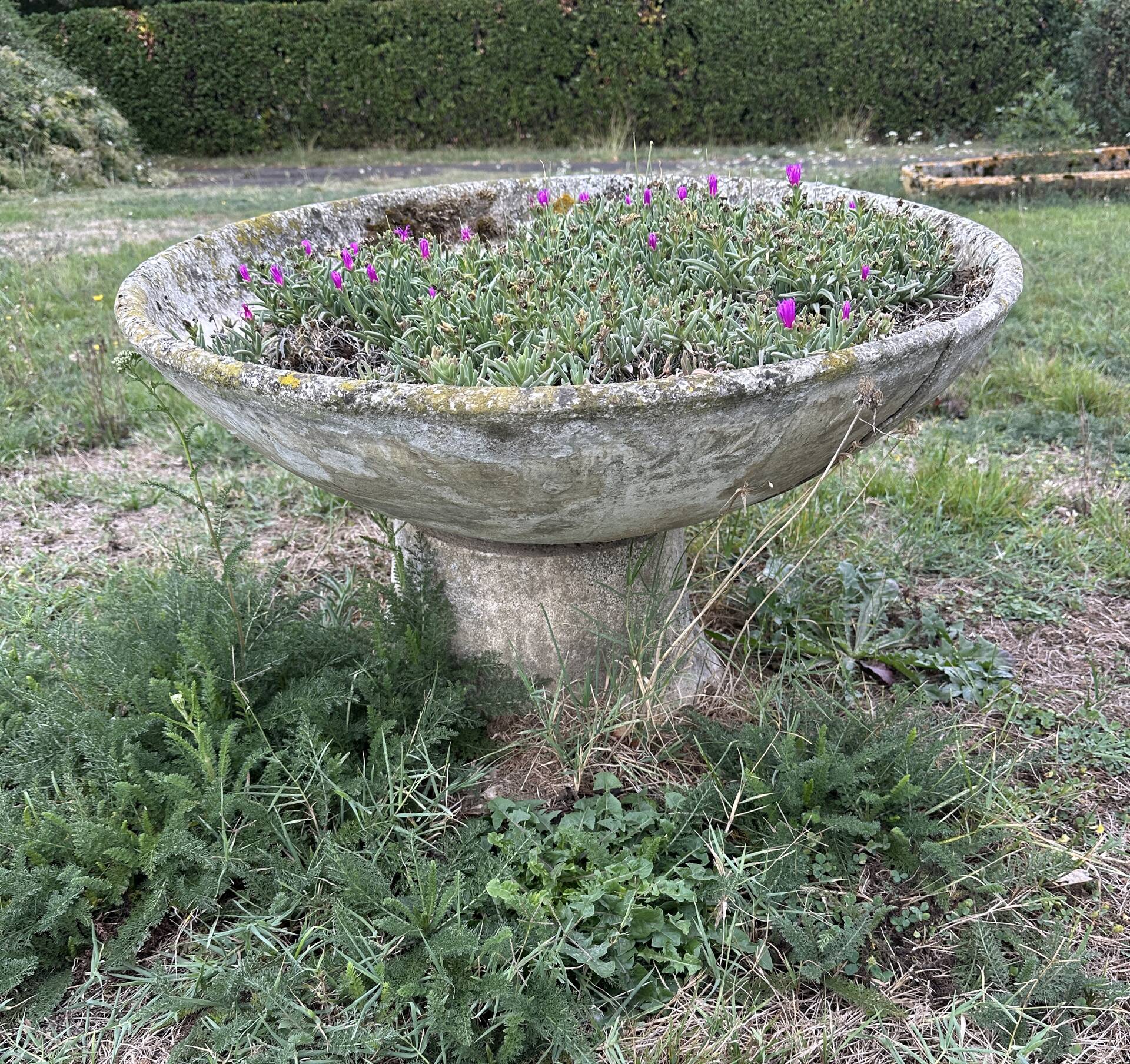 Old planter, pedestal basin by Willy Guhl