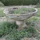 Old planter, pedestal basin by Willy Guhl