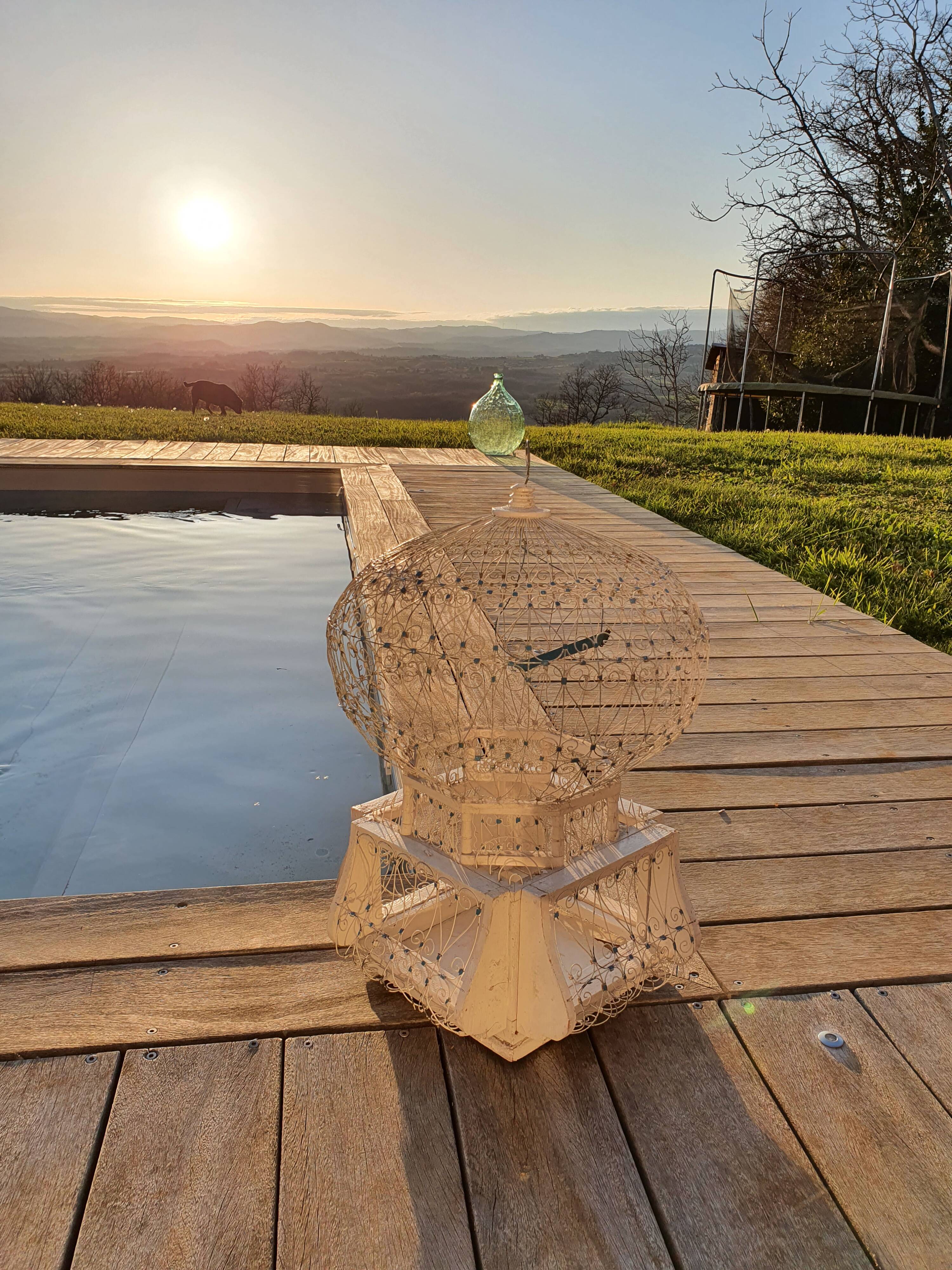 Orientalist bird cage