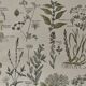Lithograph medicinal plants (XXV) Chervil Sage Melissa - 1920